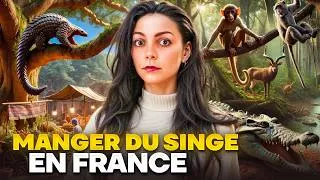 Miniature : J'ai enquêté sur le trafic de viande de singe