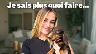 Miniature : J'ai adopté un chien (tout ne se passe pas comme prévu)