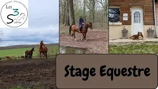 Miniature : Je fais un stage dans une ferme équestre ! (ferme des 3 sources)