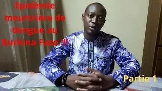 Miniature : Comprendre l'épidémie de  Dengue au Burkina Faso : Transmission, Symptômes et Complications |Partie1