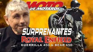 Miniature : 👑 Royal Enfield Bear 650 et Guerrilla 450 : Du fun en barre (si, si !)