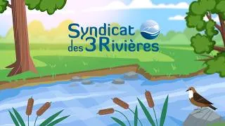 Miniature : Vidéo en motion design pour l'environnement | Syndicat des 3 Rivières