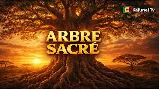 Miniature : 🔴 EXCLUSIF : LE BAOBAB, ARBRE SACRÉ DÉVOILÉ ! 🌳✨ (Incroyable) #Shorts