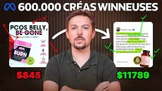Miniature : L'analyse créa la plus complète de l'année dont personne ne parle (+600 000 pubs analysées)