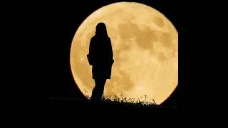 Miniature : Moonlight Opus 4 🌝🌝#edm #electronicmusic #electronic #foryou #for #viral #viralvideo #enjoy #joy