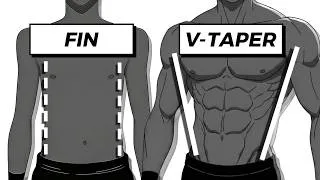 Miniature : Comment développer un Physique en "V" PARFAIT (7 Muscles indispensables)