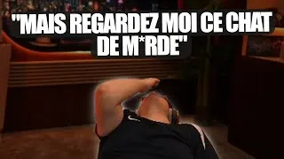 Miniature : Kameto tilt et dit les termes sur son chat