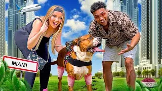 Miniature : ON A ADOPTÉ UN CHIEN DANGEREUX À MIAMI ! *Emotionnel*