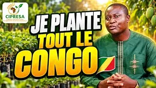 Miniature : Agriculture au Congo : Les Retours de Pluies au Congo c’est le temps de planter les arbres ! 