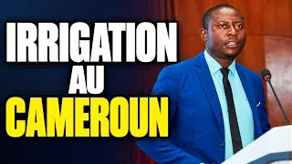 Miniature : Irrigation au Cameroun : les Avantages Géomembrane