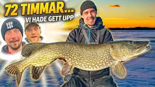 Miniature : PÊCHE DE RÊVE : Notre MEILLEURE pêche au brochet en 72 HEURES → Brochet de plus de 11 kg ⚠️