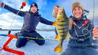 Miniature : Comment pêcher le brochet et la perche sur la glace ! 🎣