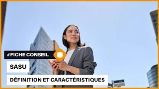 Miniature : SASU : Définition et caractéristiques