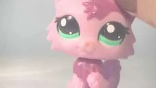 Miniature : ✿ Nouveaux Littlest PetShops.