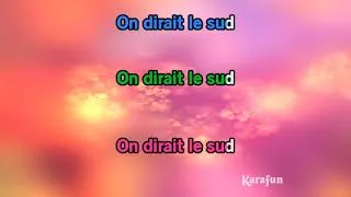 Miniature : Karaoké Le sud (Live) - Les Enfoirés *