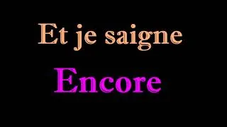 Miniature : Kyo - Je Saigne Encore (lyrics)
