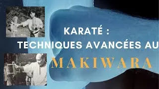 Miniature : Techniques avancées au makiwara