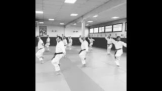 Miniature : 👊🏻 FAITES DES STAGES DE KARATE ! 👊🏻