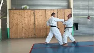 Miniature : Travail en main de sabre