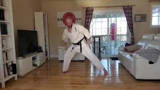 Miniature : Entraînement intense des jambes inspiré du Kihon de Kyokushin
