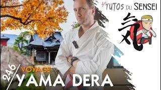 Miniature : Yamadera dans votre salon !