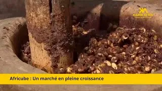Miniature : 🇹🇬 TOGO : AFRICUBE, LE CUBE DE BOUILLON 100% NATUREL QUI SÉDUIT L'AFRIQUE ET LA DIASPORA