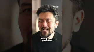 Miniature : Comment bien se disputer ? Ceci est donc presque une vidéo de chats. Ou de philosophie. Presque.