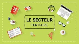 Miniature : Le secteur tertiaire en France