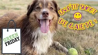 Miniature : Connaissez-vous les greendays ? [P'tit shoot de gaieté #05]