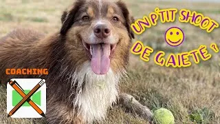 Miniature : Un coaching en écriture [Un p'tit shoot de gaieté #04]