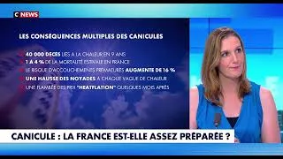 Miniature : Canicule extrême : est-ce qu'on en fait trop ? - Karine Durand sur CNEWS