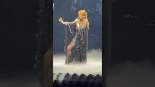 Miniature : Florence and the machine - Howl