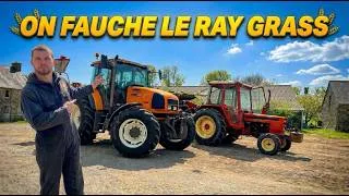 Miniature : FAUCHE DES RAY GRASS !