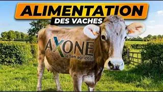 Miniature : L’ALIMENTATION DE MON ÉLEVAGE ! (AXONE)