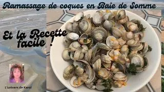 Miniature : Ramassage de coques en baie de Somme  et  LA RECETTE !