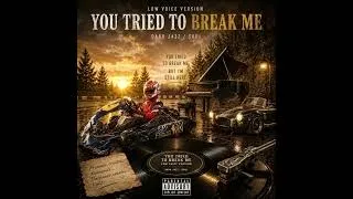 Miniature : You tried To Break Me