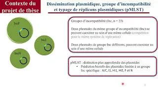 Miniature : Résistance aux antimicrobiens et routes de transmission (Degrâce Batantou)