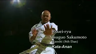 Miniature : Karaté  grande master power Kata - Anan