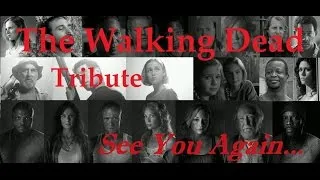Miniature : The Walking Dead Tribute || See You Again