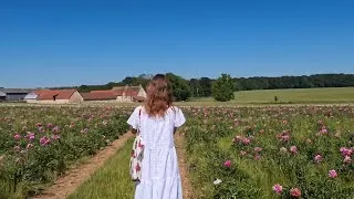 Miniature : Vie douce à la française ~ Brocantes, champ de pivoines et trésors vintage à 1€