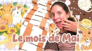 Miniature : Des commandes, nouvelle bibliothèque et une box loutre | Studio Vlog Kawaii Journal