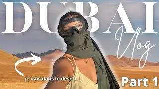 Miniature : DUBAI VLOG EN AMOUREUX | Désert, Miss Lilly’s, Babel, … (part 1)