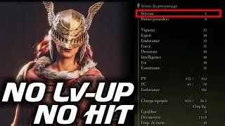 Miniature : Je bat MALENIA en RL1 NO HIT