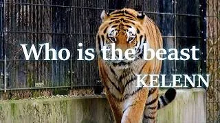 Miniature : KELENN - Who is the beast ? (Electronic / Chill Deep House)