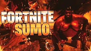 Miniature : NOUVEAU ! SUMO CAR BATTLE  SUR Fortnite Battle Royale