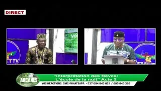 Miniature : Arcanes: Interprétation des rêves (Acte 2)