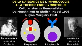 Miniature : De la naissance de l’immunologie à la théorie endosymbiotique - Cellularistes vs humoralistes