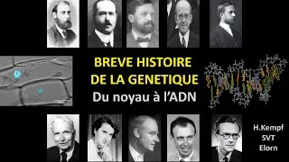 Miniature : Brève histoire de la génétique   Du noyau à l'ADN et à ses propriétés   Hervé Kempf