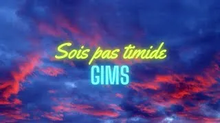 Miniature : Gims _-_ Sois pas timide (paroles)