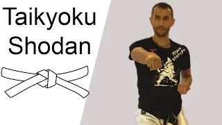Miniature : Apprendre ou revoir Taikyoku shodan.